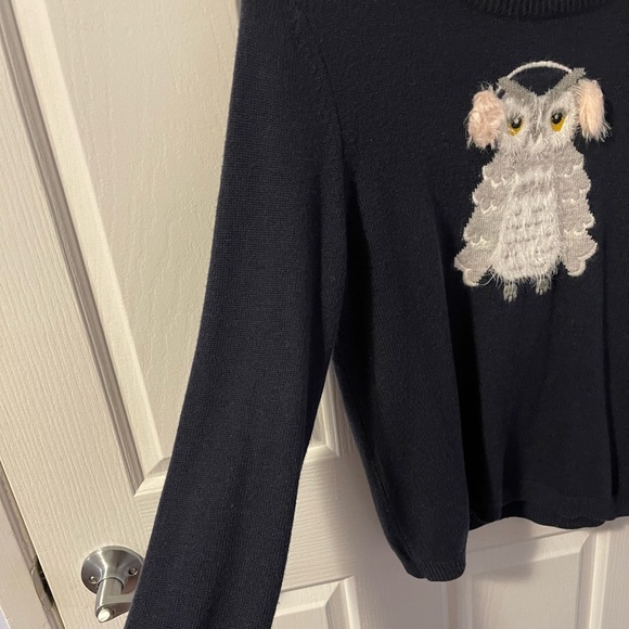 Kate Spade broom street navy owl sweater - Picture 7 of 9